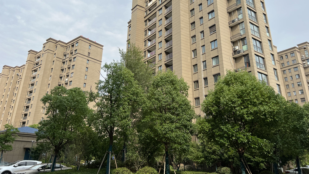 k8��������Ӯ�� �� ����Է